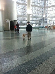 Sniffer dog in the ferry terminal (taken by Chris after all the crowds had left!)